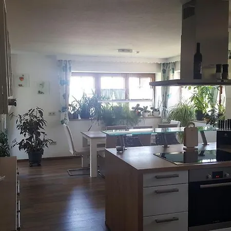 Apartment Deluxe Ferienwohnung Casa Dominica Mit Swimmingpool Und Sauna Endingen am Kaiserstuhl